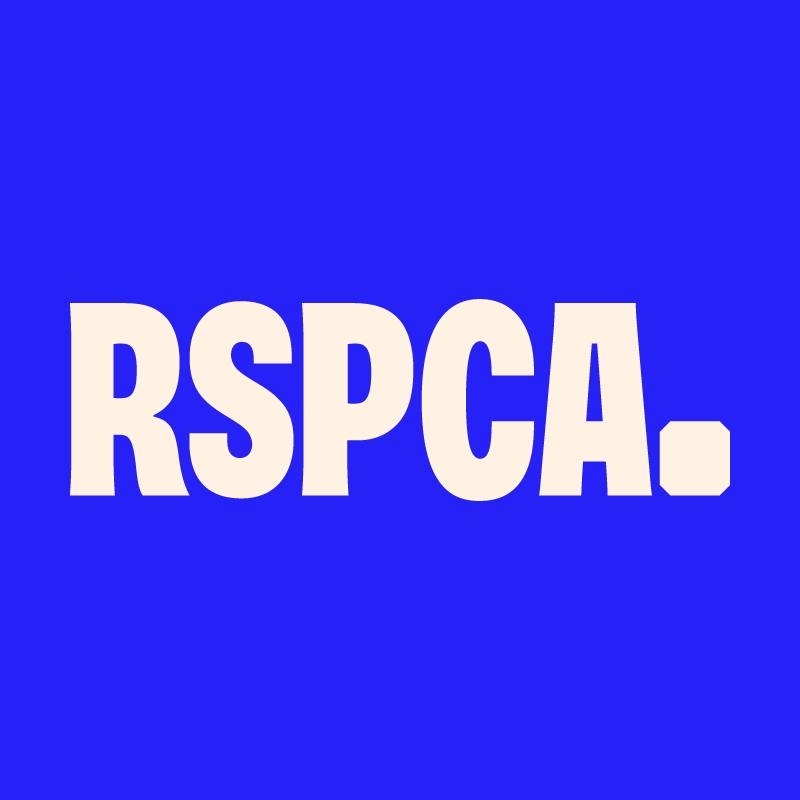 Dog and Cat foster homes needed