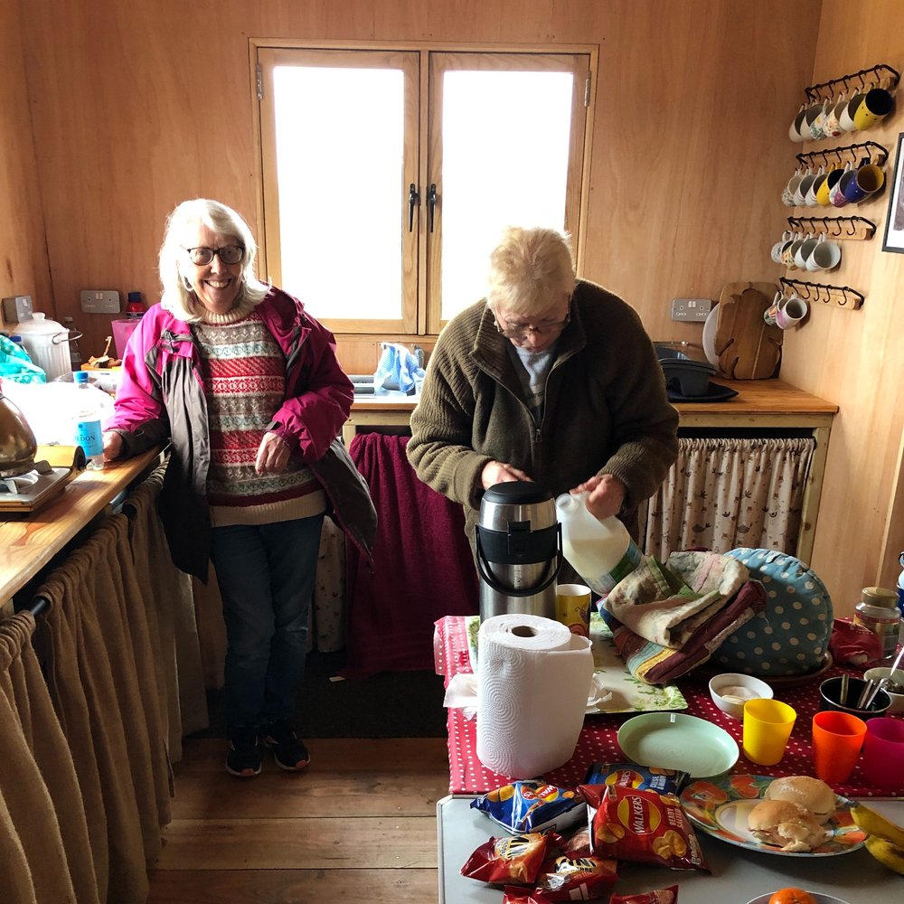 Events Support Volunteer - Andover Trees